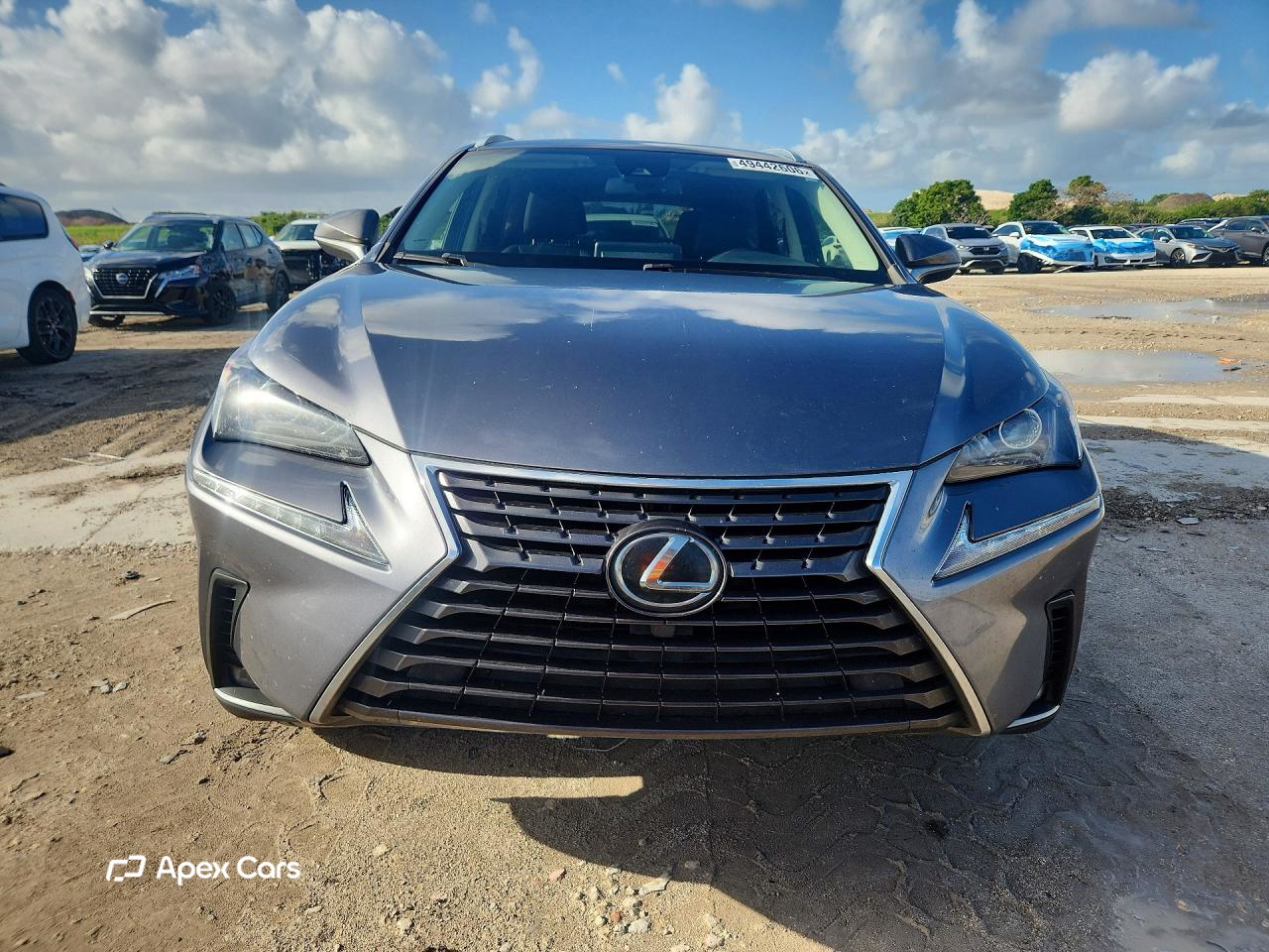 Lexus NX 2020
