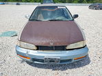 Honda Accord 1995