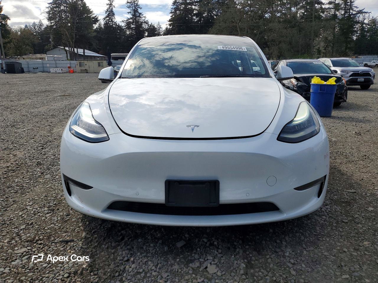 Tesla Model Y 2021