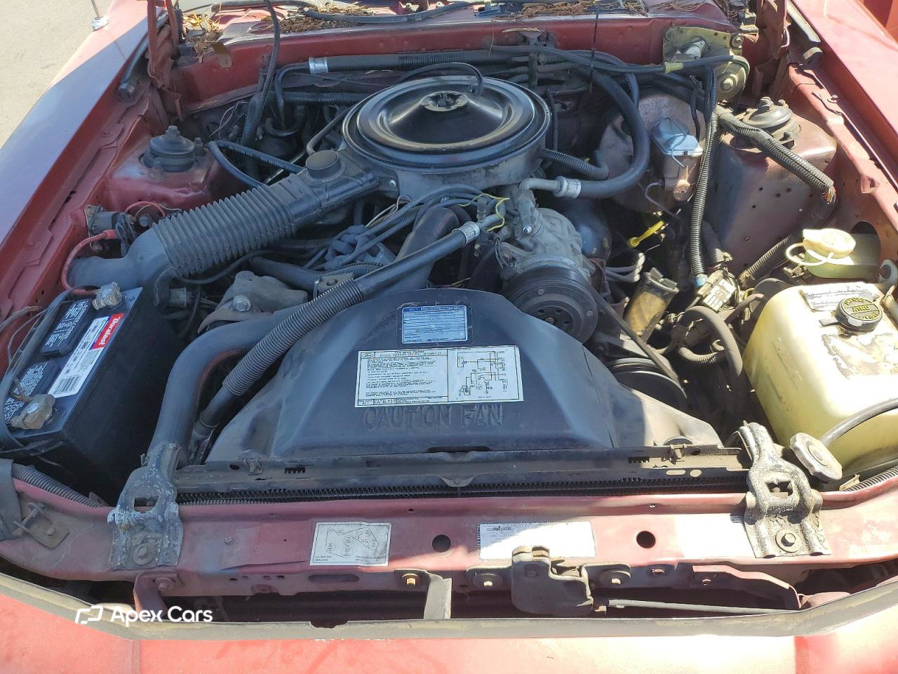 Ford Thunderbird 1986