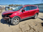 Ford Escape 2013