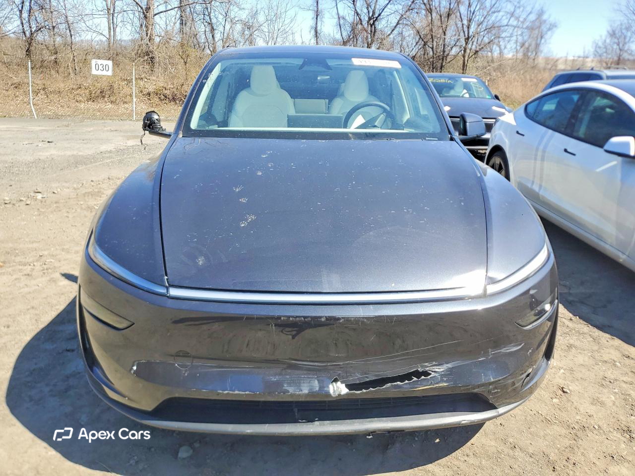 Tesla Model Y 2026