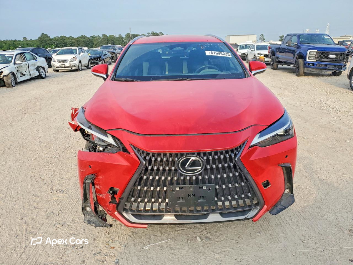 Lexus NX 2024