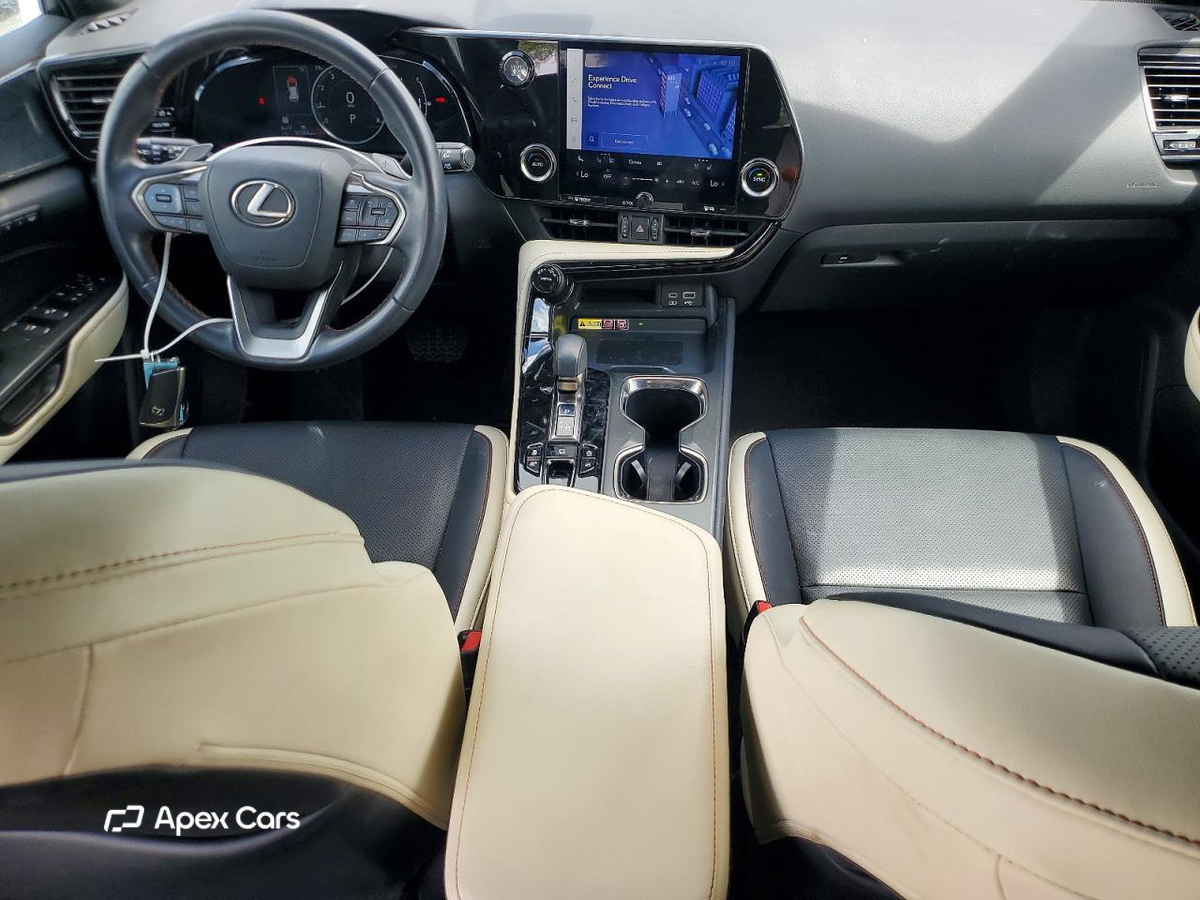 Lexus NX 2023