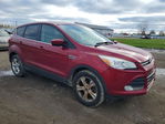 Ford Escape 2016