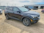 Kia Seltos 2022