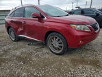 Lexus RX 2010