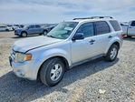 Ford Escape 2011