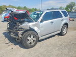 Ford Escape 2011