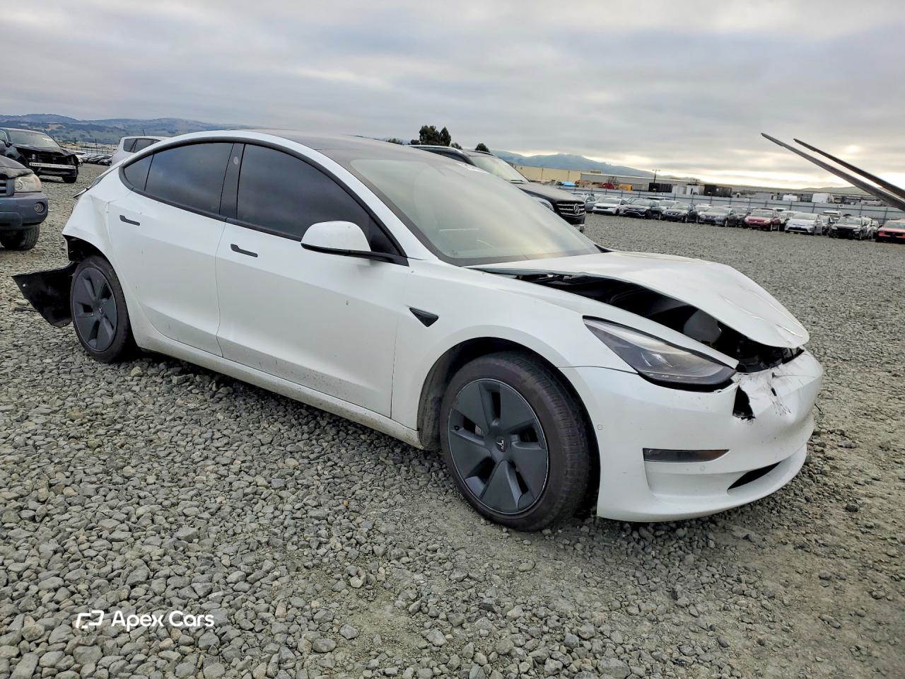 Tesla Model 3 2022