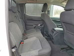 Ford Ranger 2024