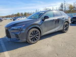 Lexus RX 2024