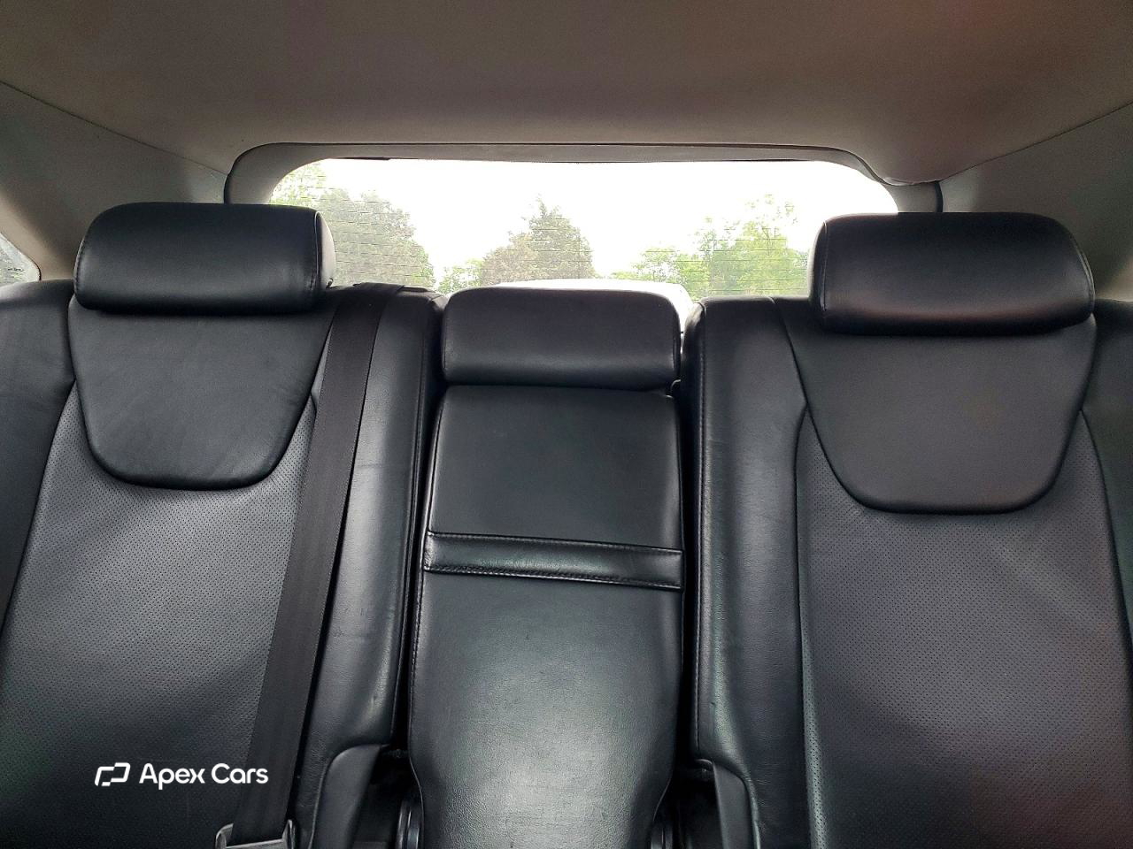 Lexus RX 2010