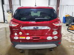 Ford Escape 2014