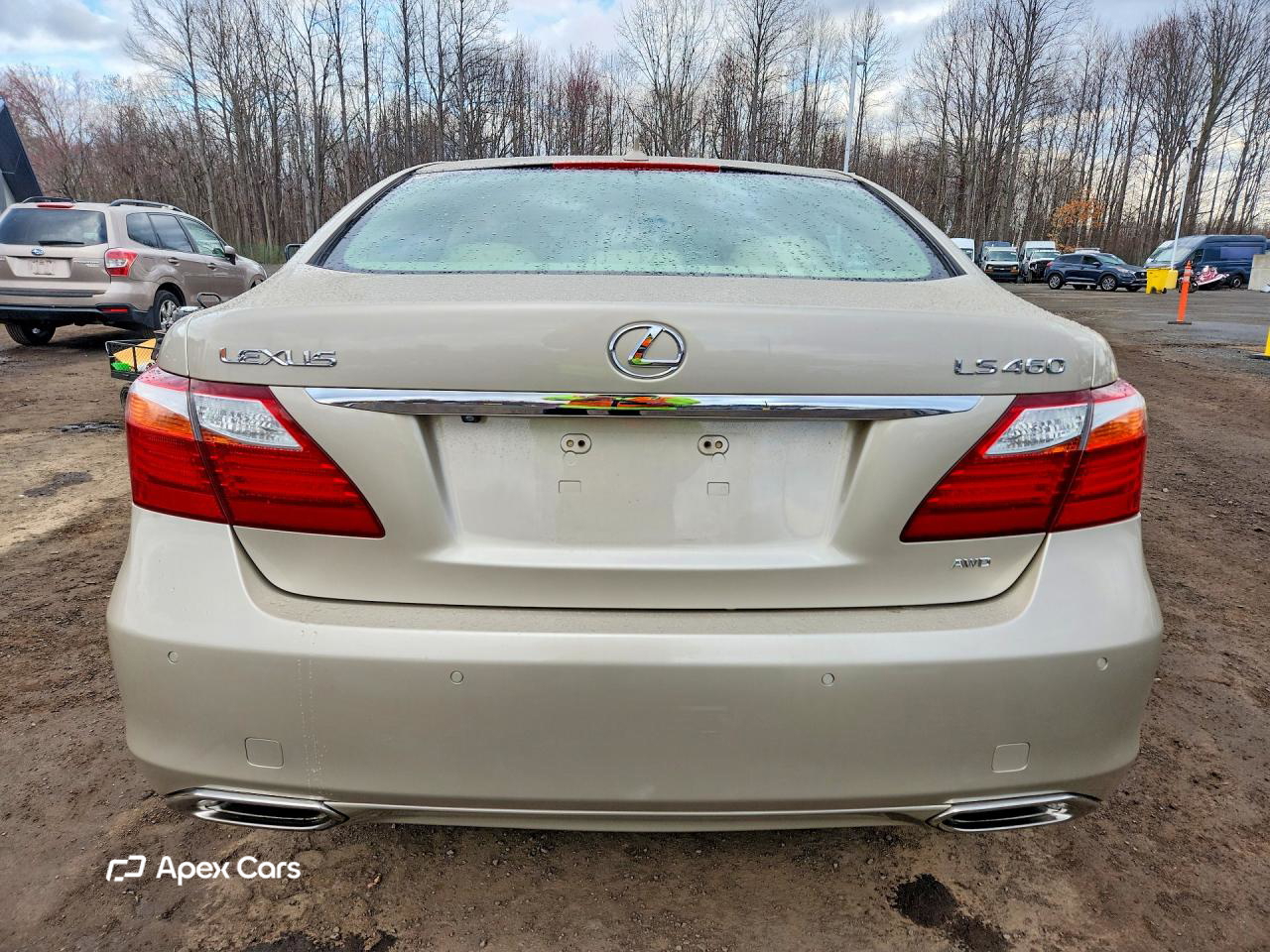 Lexus LS 2010