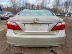 Lexus LS 2010
