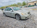 Nissan Maxima 2007