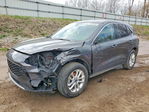 Ford Escape 2020