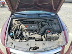 Honda Accord 2011