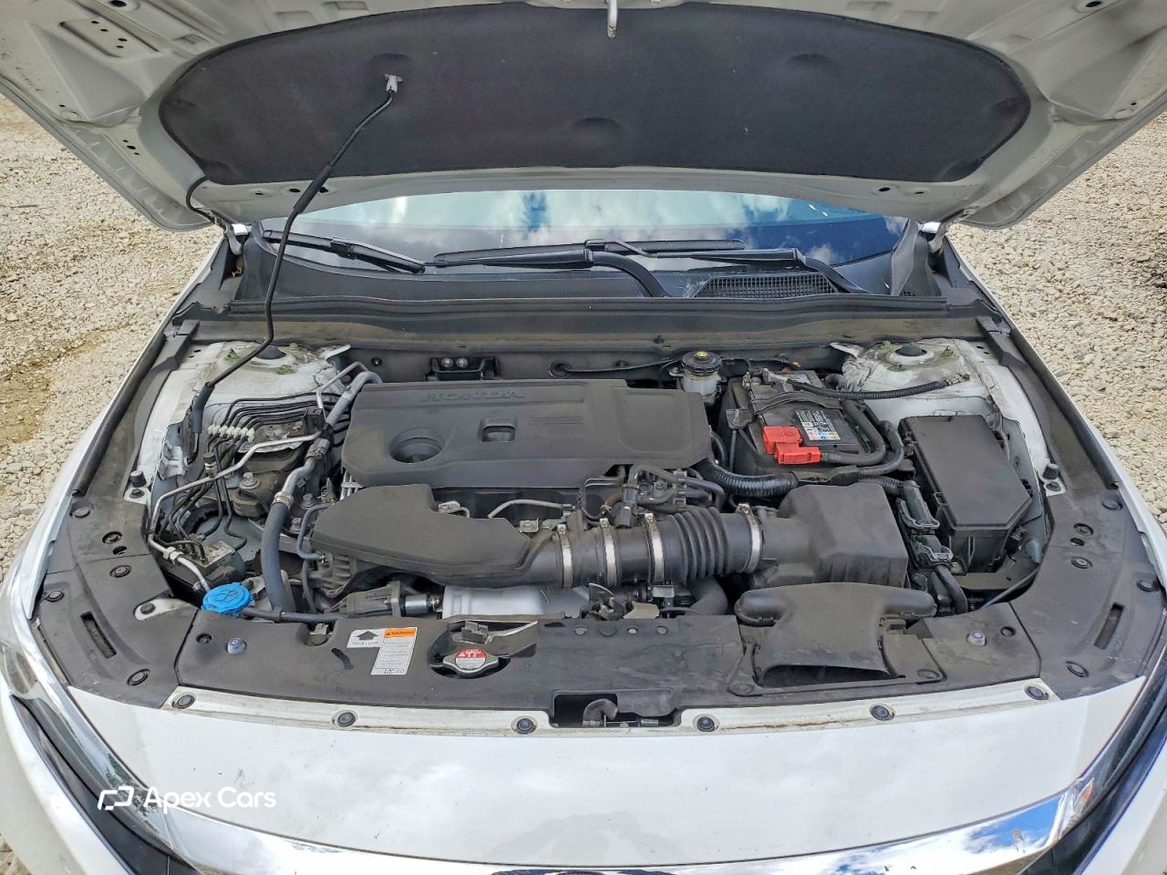 Honda Accord 2021