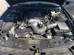 Ford Mustang 2005