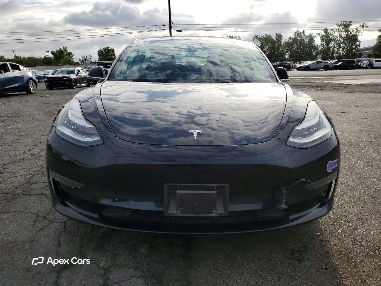 Tesla Model 3 2019