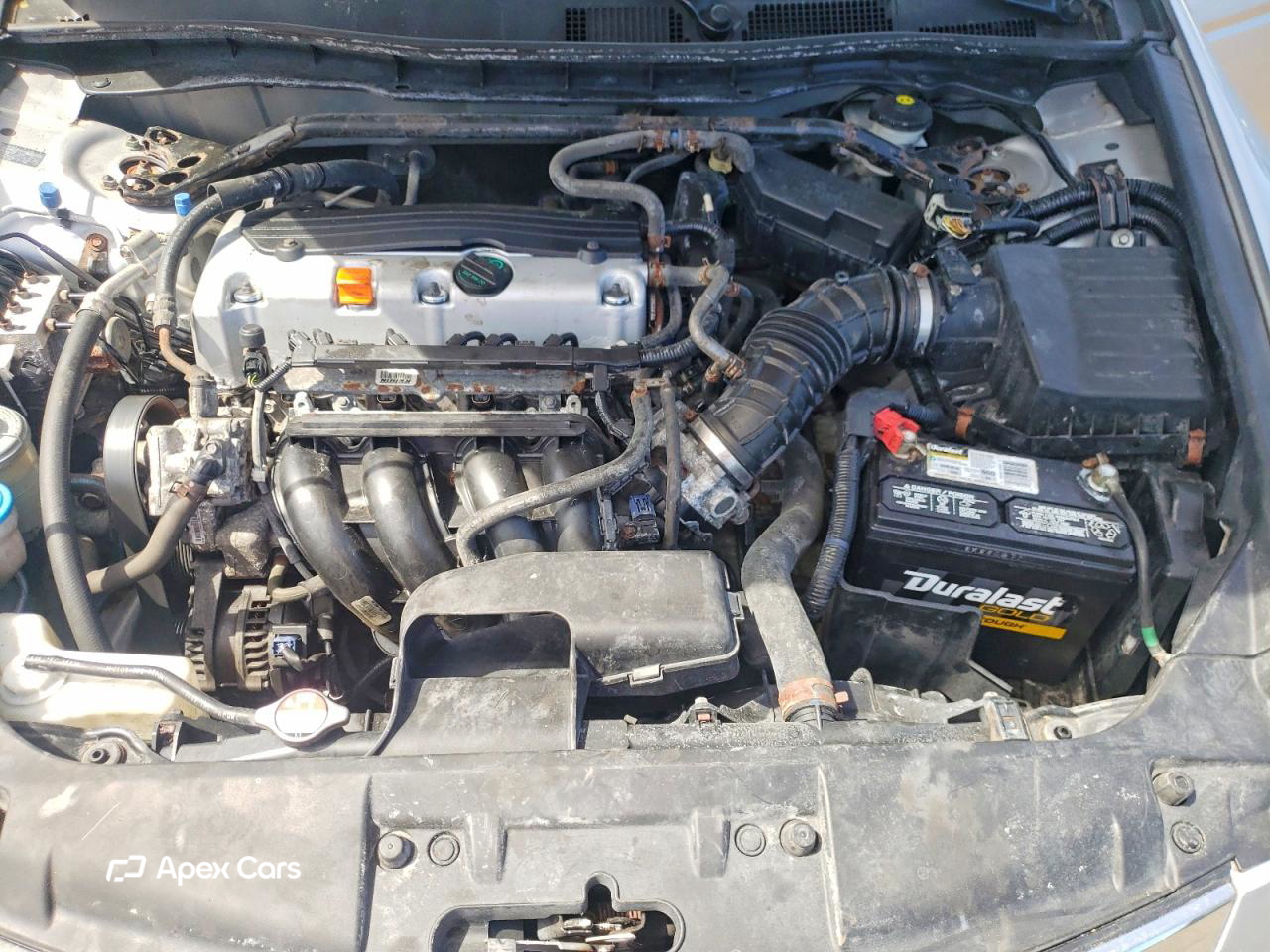 Honda Accord 2010