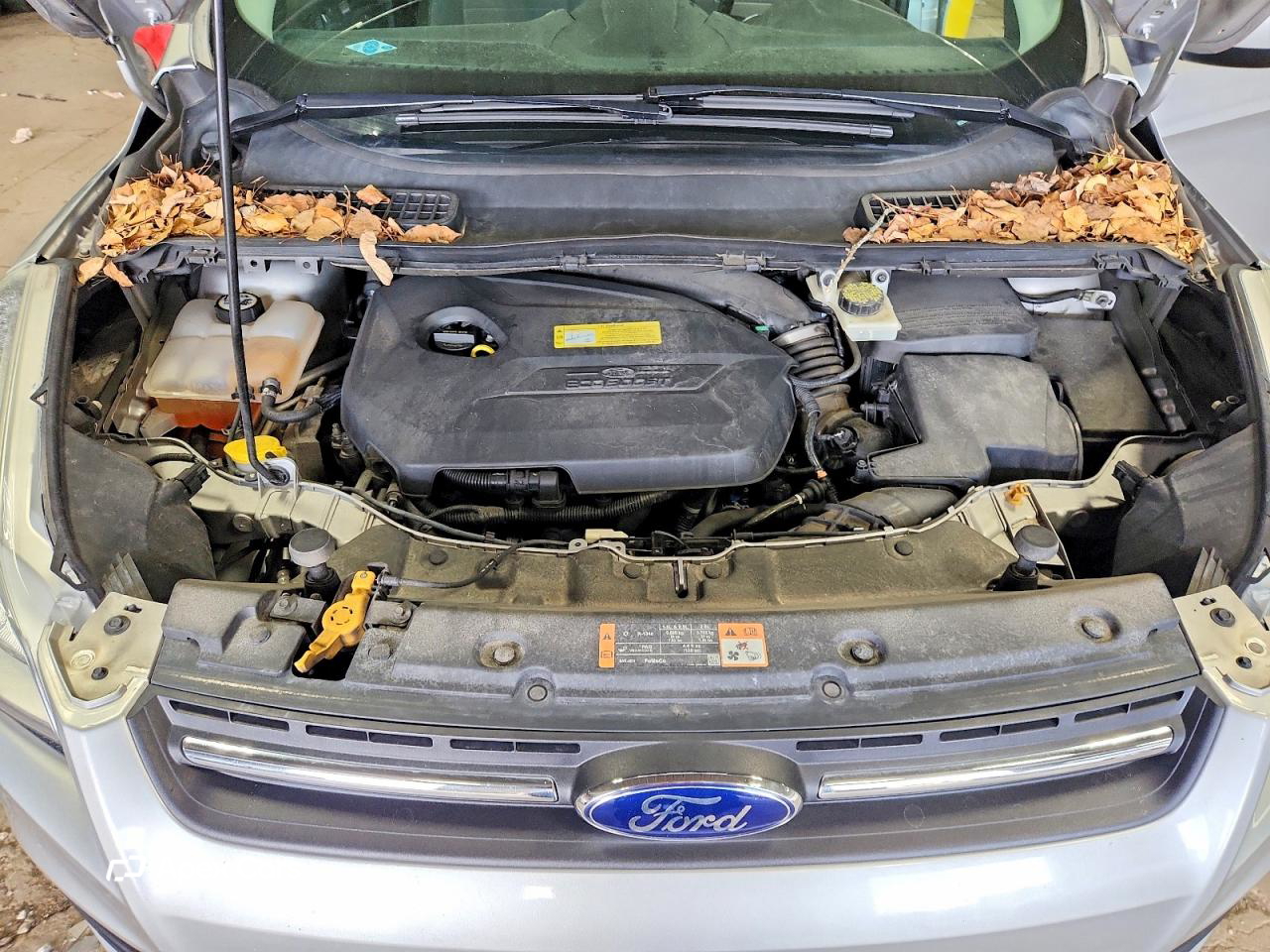 Ford Escape 2014