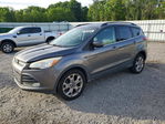 Ford Escape 2014