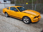 Ford Mustang 2007