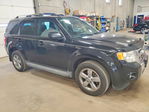 Ford Escape 2011