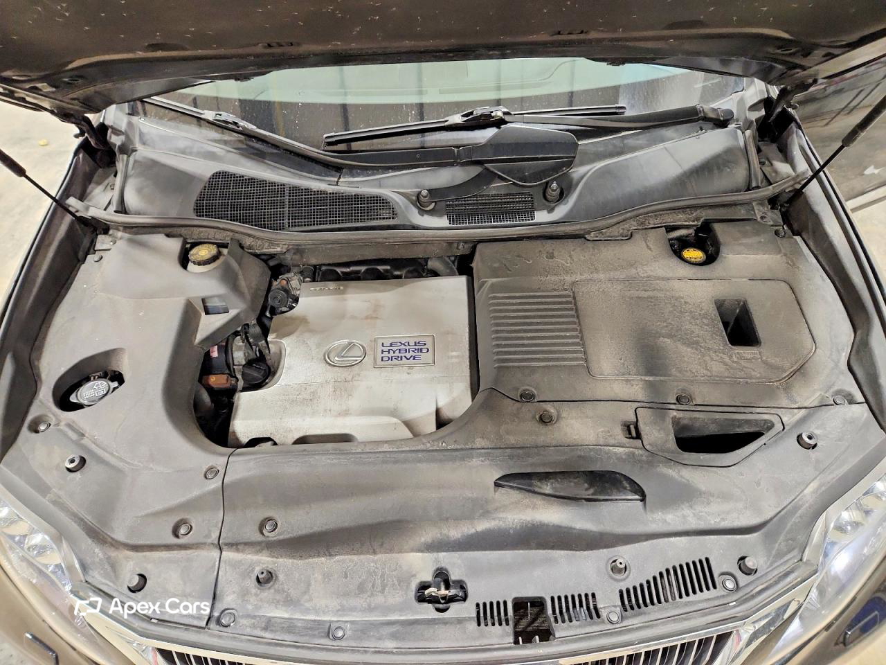 Lexus RX 2010