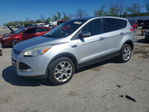 Ford Escape 2013