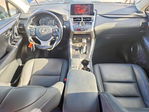 Lexus NX 2020