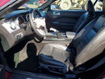 Ford Mustang 2005