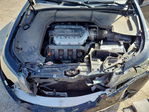 Acura TL 2013