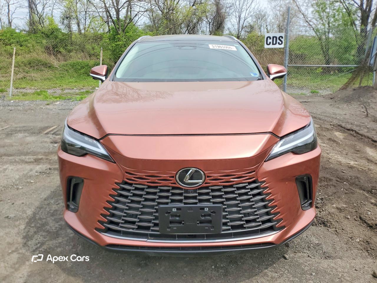 Lexus RX 2026