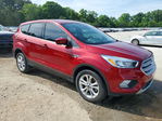 Ford Escape 2019
