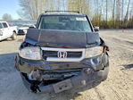 Honda Element 2010