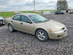Dodge Stratus 2004