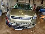 Ford Escape 2013
