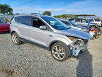 Ford Escape 2014