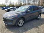 Ford Escape 2020