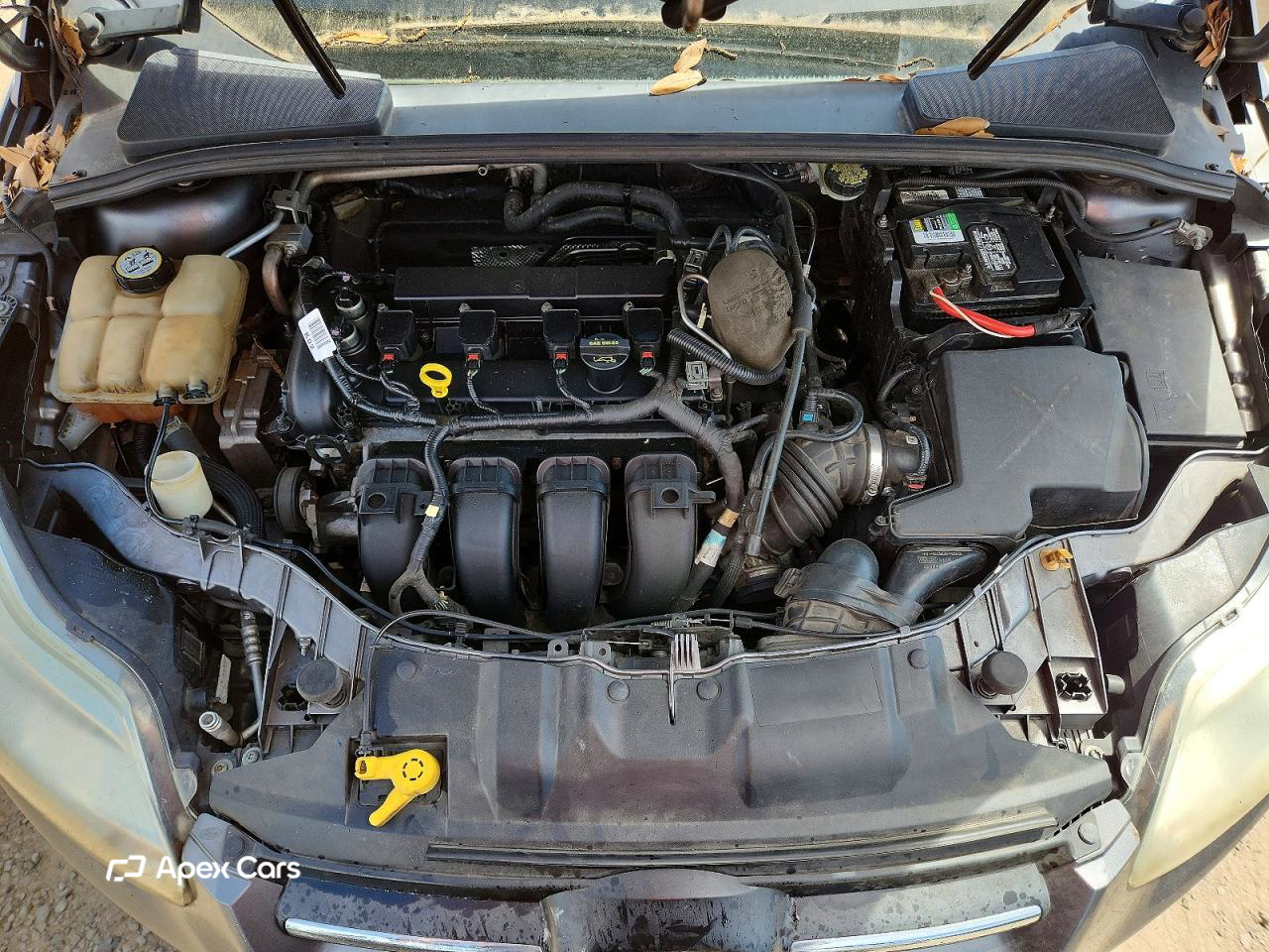 Ford Focus 2013