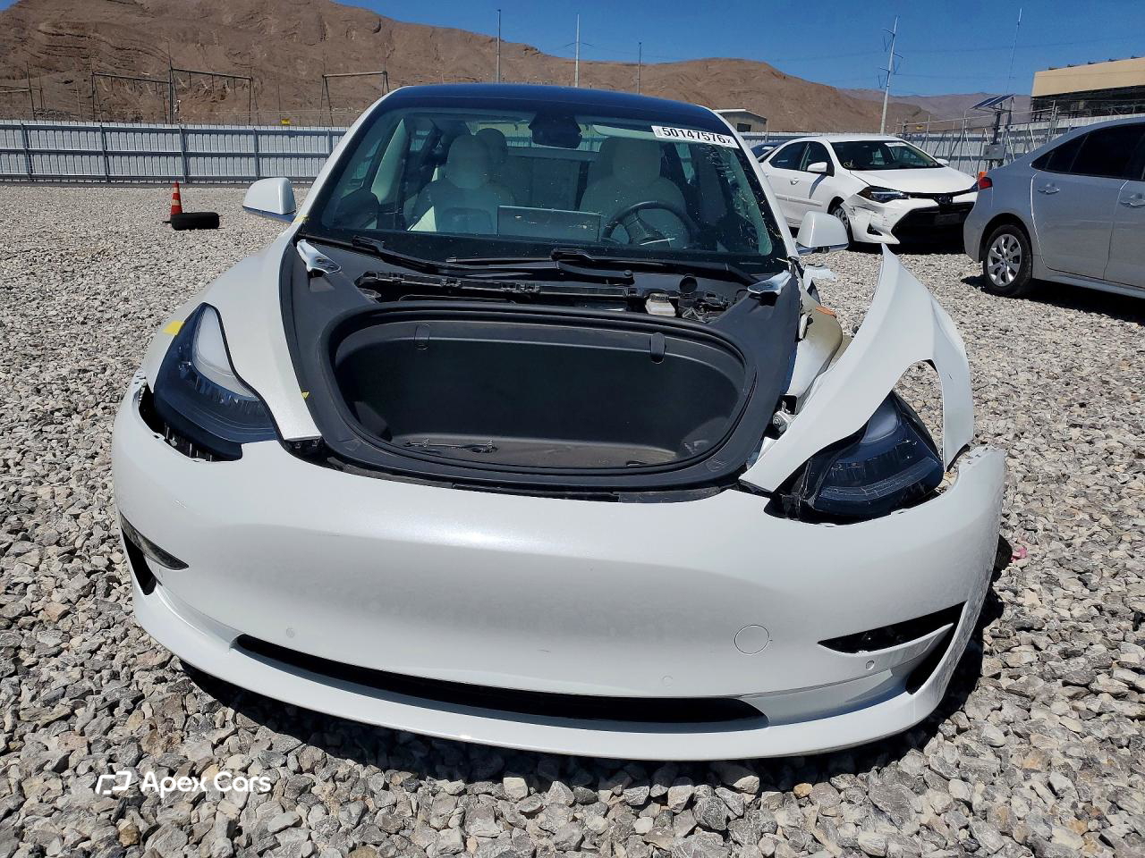 Tesla Model 3 2019