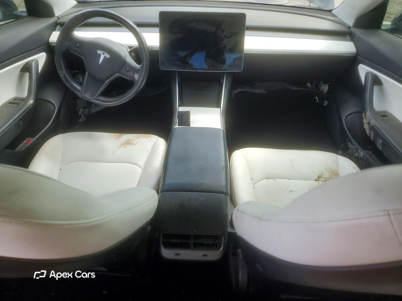 Tesla Model 3 2019
