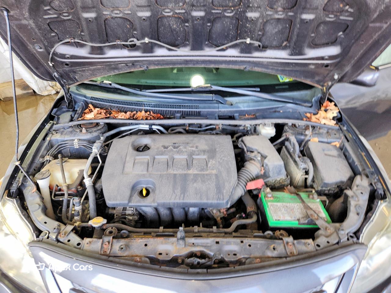 Toyota Corolla 2013