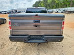 Ford F-150 2010