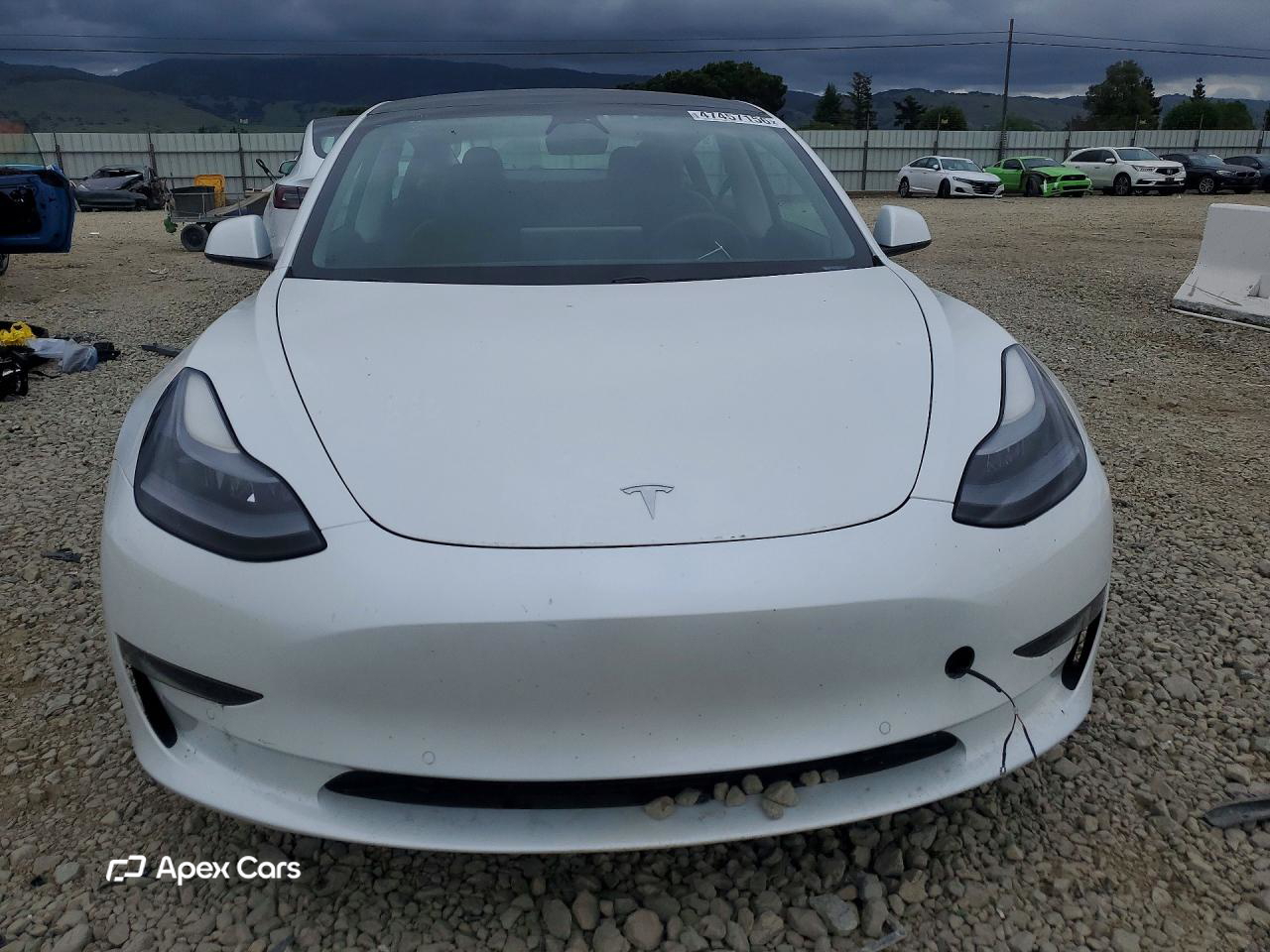 Tesla Model 3 2021