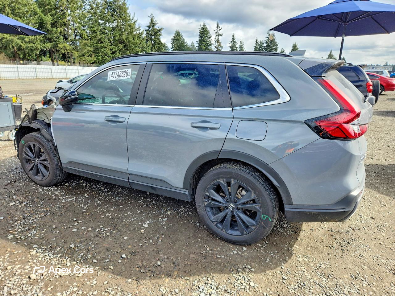 Honda CR-V 2024